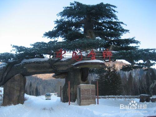 中國雪鄉旅遊攻略
