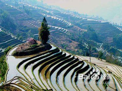 雲南好玩的旅遊景點有哪些?