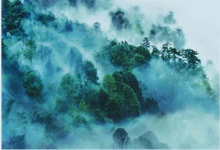 2011井岡山旅遊攻略，井岡山旅遊景點、注意事項