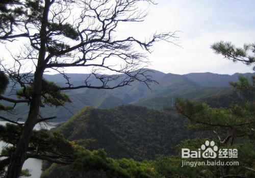 帶你去玩環城國家森林公園