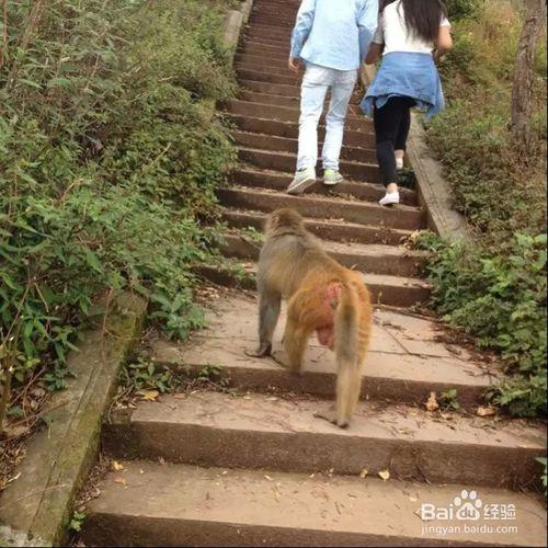 西昌廬山旅遊攻略