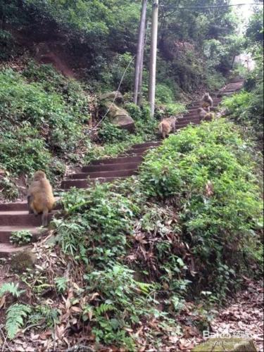 西昌廬山旅遊攻略