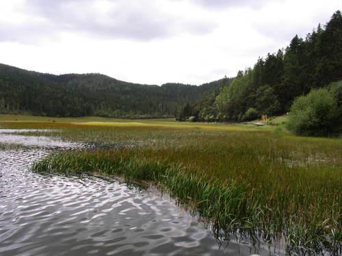 怎樣春節安排雲南旅遊