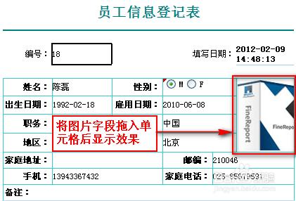 web表格控件FineReport教程：[10]填報預覽