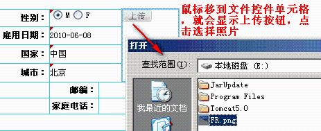 web表格控件FineReport教程：[10]填報預覽