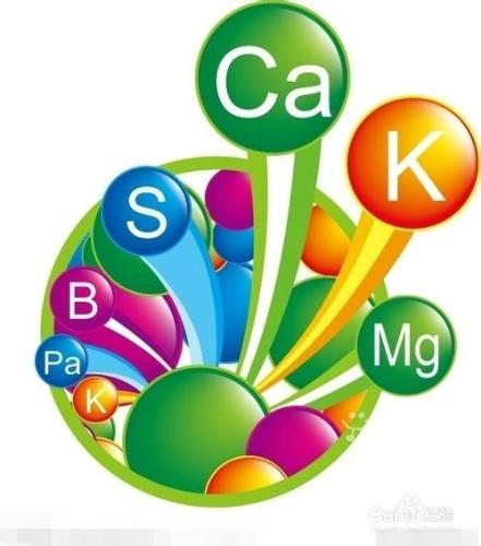 怎樣備考MBA研究生考試：[5]英語考前輔導班