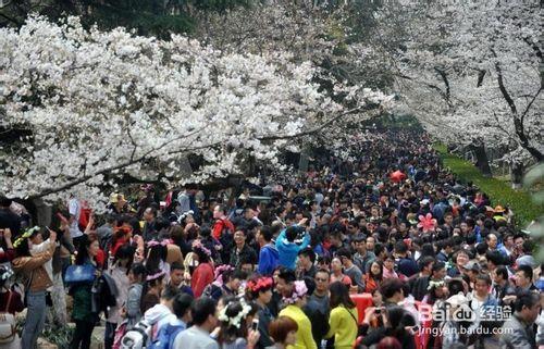 清明節三日遊去哪裡