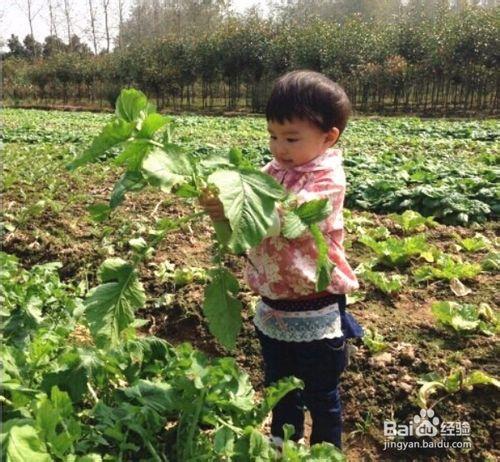 春暖花開，帶孩子去哪裡遊玩？