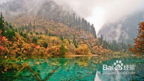 2012四川國慶旅遊金秋紅葉旅遊線路