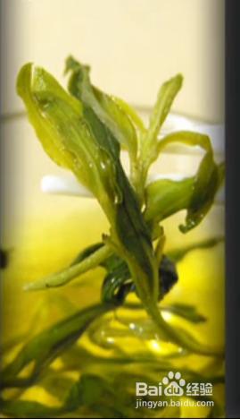 枸杞芽對人體有什麼益處：[3]枸杞芽茶