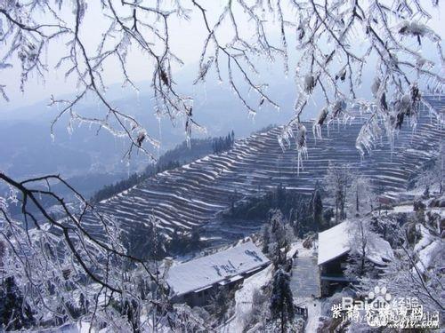 國家4A景區、國家自然與文化遺產紫鵲界梯田