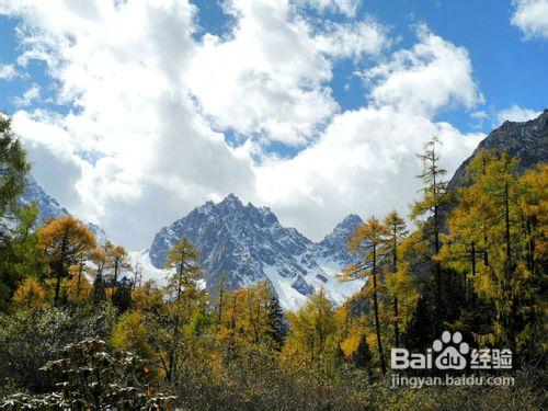 2012四川國慶旅遊金秋紅葉旅遊線路