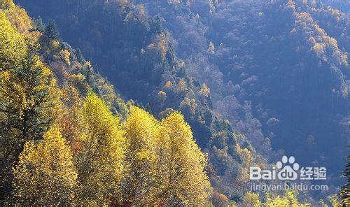 2012四川金秋紅葉線路推薦之九寨溝黑水