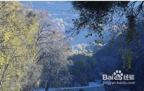 2012四川金秋紅葉線路推薦之九寨溝黑水