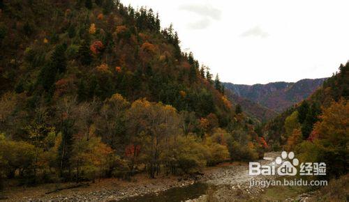 2012四川國慶旅遊金秋紅葉旅遊線路