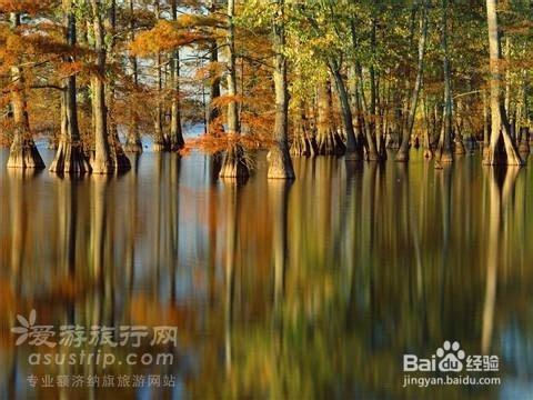 額濟納旅遊攻略　