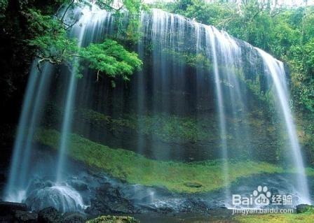 炎炎夏日，全家去哪兒？