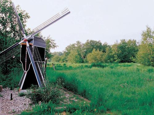 歐洲旅遊攻略之花海荷蘭