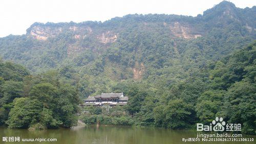 炎炎夏日，全家去哪兒？