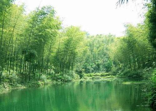 怎樣安排常州南山竹海+天目湖二日遊