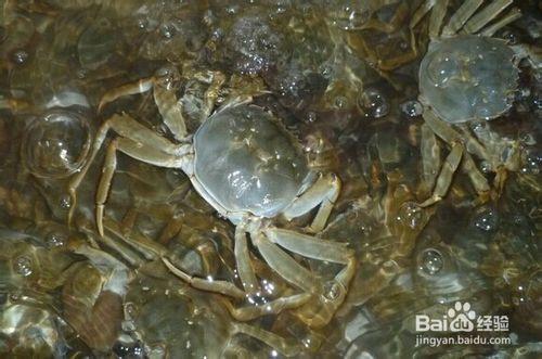 水果與相關食物相剋