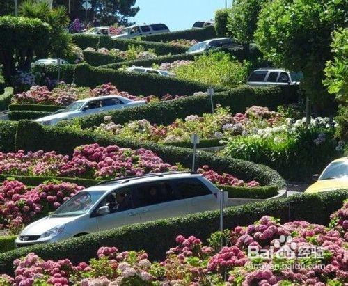 “縱覽陽光加州”美國西海岸10日團隊遊