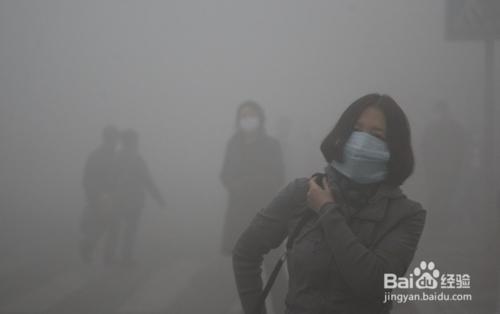 霧霾的危害應對有高招