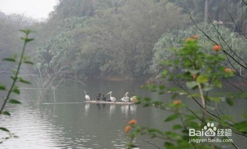 十一國慶節廣東自駕遊景點