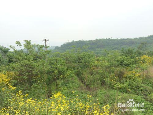 地形圖繪製現場準備工作