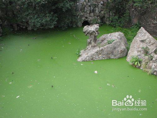 南京繡球公園遊覽手冊