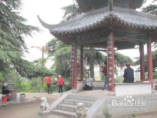 南京繡球公園遊覽手冊