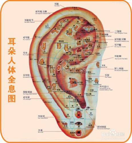 中耳炎的治療方法（簡單又方便）