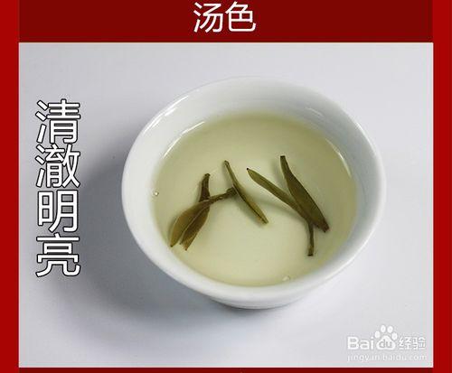 茶葉全攻略之茶葉的分類