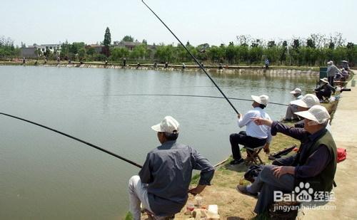 教給你釣魚的實用方法！