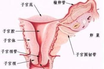 發生宮外孕之後，我們應該怎麼做