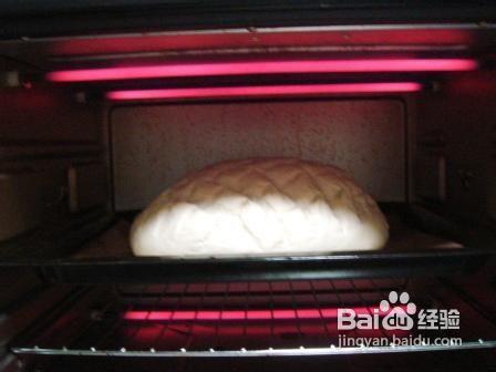 巨無霸龜背面包