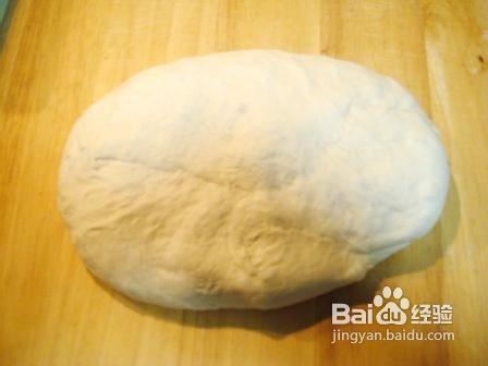 巨無霸龜背面包