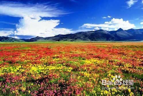 雲南旅行麗江6日遊線路