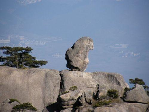 怎樣安排黃山一日遊