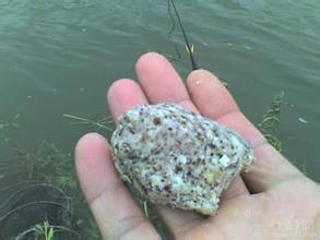 冬季如何釣魚 冬季水庫釣魚常用的幾種餌料