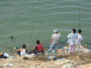 冬季如何釣魚 冬季水庫釣魚常用的幾種餌料