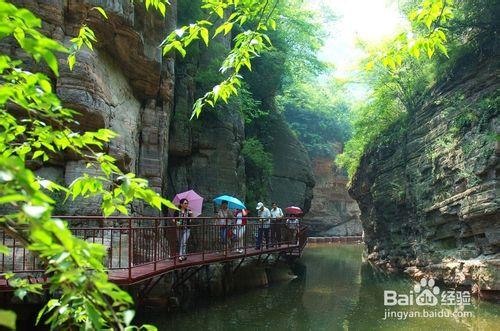 張家界自駕車旅遊網站