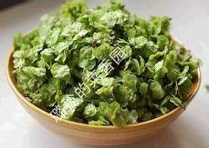 春季野菜系列（一）——又到了吃【榆錢兒飯】