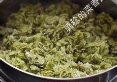 春季野菜系列（一）——又到了吃【榆錢兒飯】