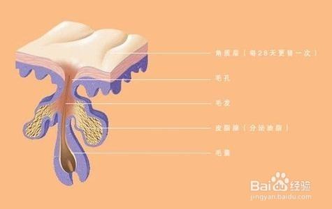 戰勝青春痘的方法