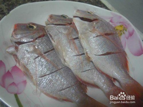 小米DIY----幹煎紅棕魚
