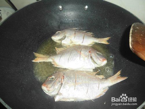 小米DIY----幹煎紅棕魚
