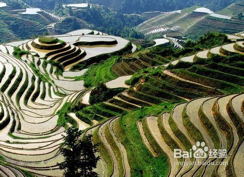 8月旅遊好去處，中國最美的風景推薦