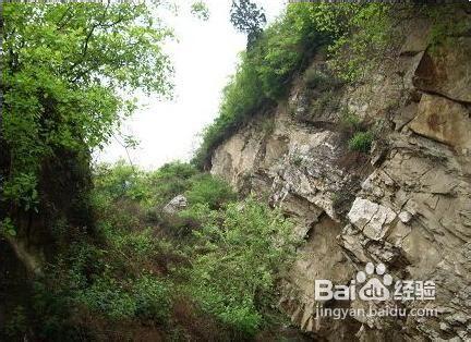 戶縣旅遊景點