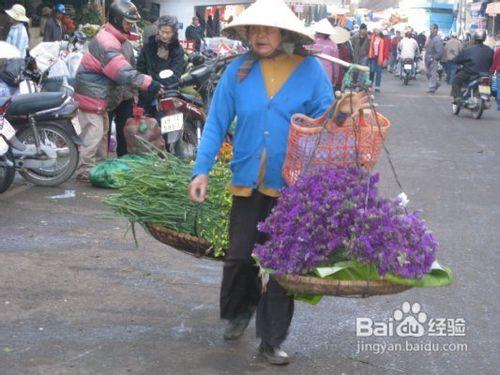 揹包客越南旅行攻略-大叻篇